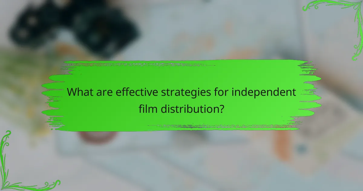 What are effective strategies for independent film distribution?