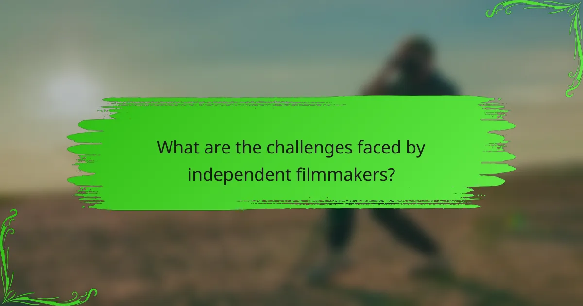 What are the challenges faced by independent filmmakers?