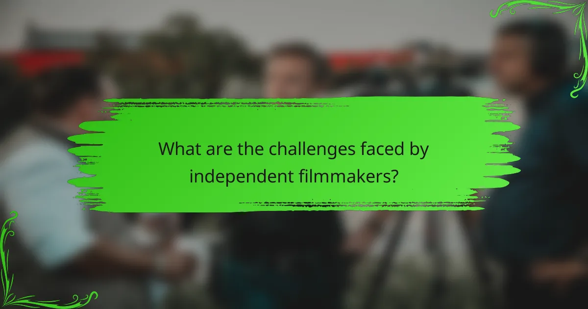 What are the challenges faced by independent filmmakers?