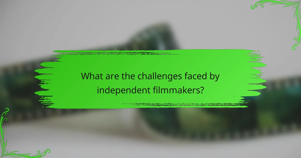 What are the challenges faced by independent filmmakers?