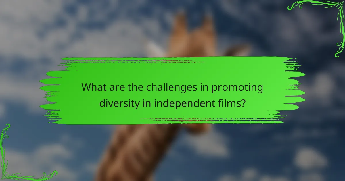 What are the challenges in promoting diversity in independent films?