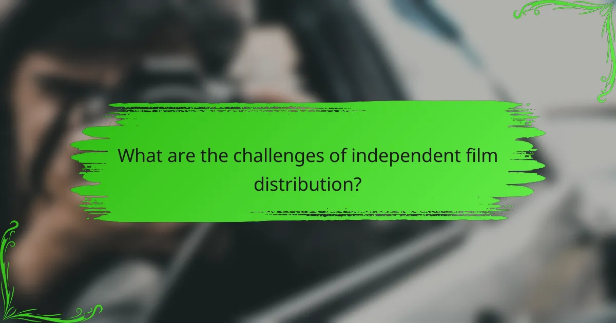 What are the challenges of independent film distribution?
