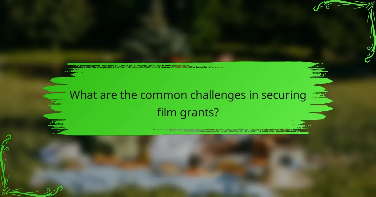 What are the common challenges in securing film grants?