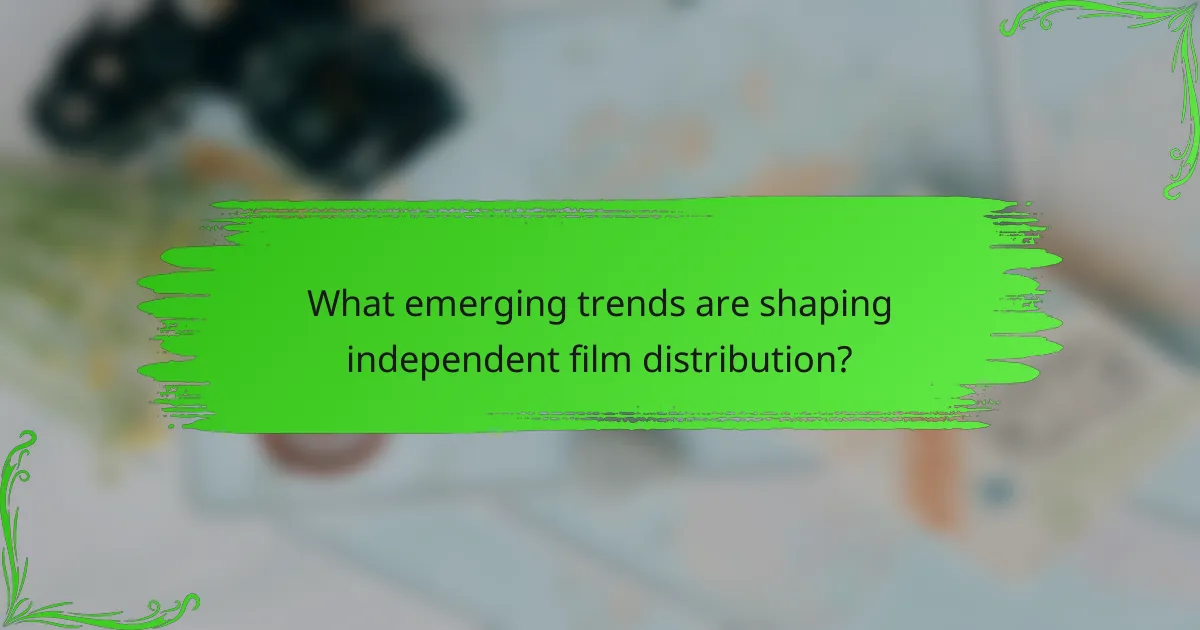 What emerging trends are shaping independent film distribution?